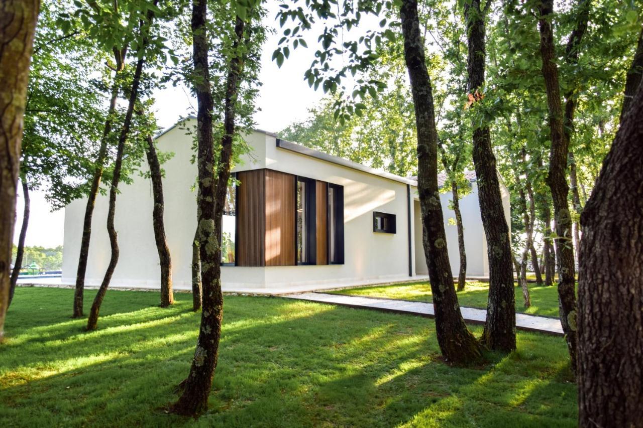 Vila Casa Bosca With Heated Pool Sveti Petar u Sumi Exteriér fotografie