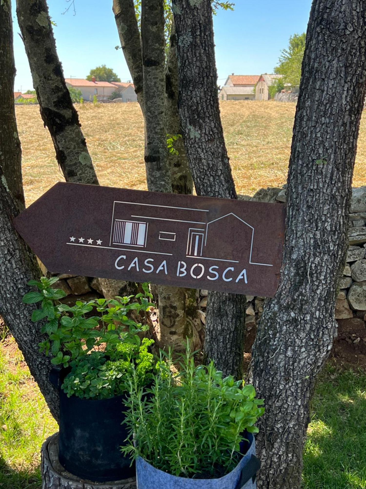 Vila Casa Bosca With Heated Pool Sveti Petar u Sumi Exteriér fotografie